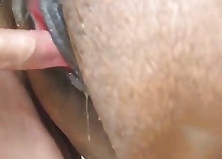 filmo porno - Fine brown stallion fucked hard in doggie