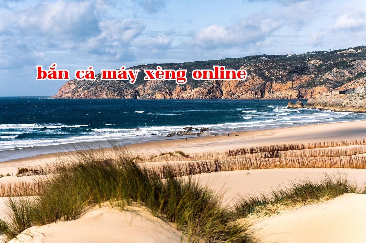 Vấn đề từ sự phổ biến hóa lưu lượng truy cập của các trang công khai - 2233win